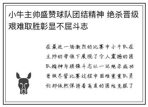 小牛主帅盛赞球队团结精神 绝杀晋级艰难取胜彰显不屈斗志